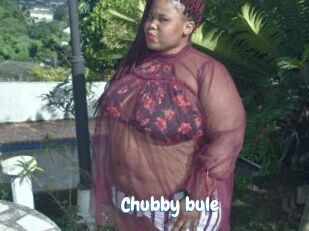 Chubby_bule