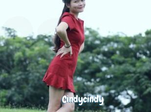 Cindycindy