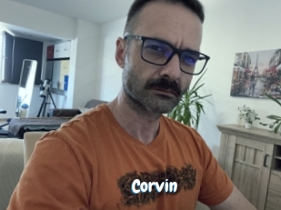 corvin Coquine Avenue
