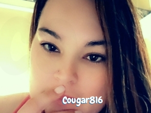 cougar816 Coquine Avenue