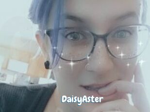 DaisyAster