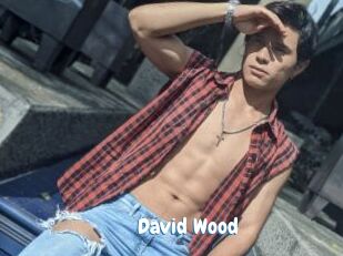 David_Wood