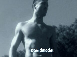 Davidmodel