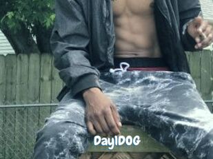 Day1DOG