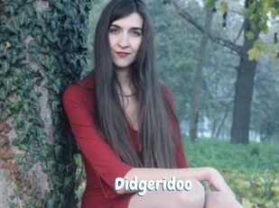 Didgeridoo