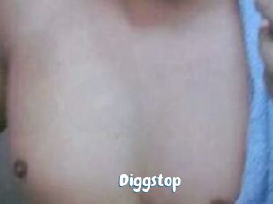 Diggstop