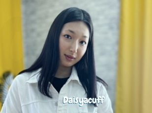 Daisyacuff