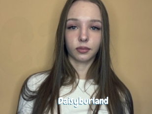 Daisyburland
