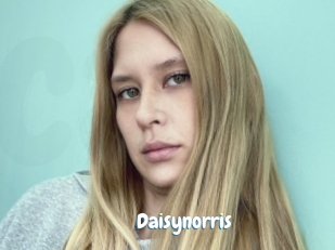 Daisynorris