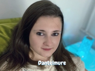 Dantelmure