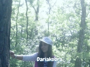 Dariakobra