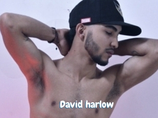 David_harlow