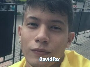 Davidfox