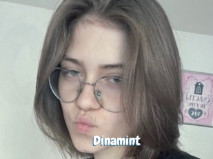 Dinamint