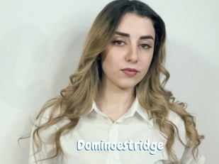 Dominoestridge