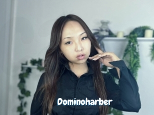 Dominoharber