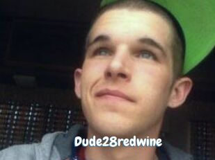 Dude28redwine