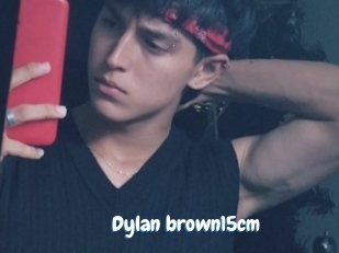 Dylan_brown15cm