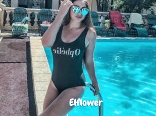 Elflower Coquine Avenue