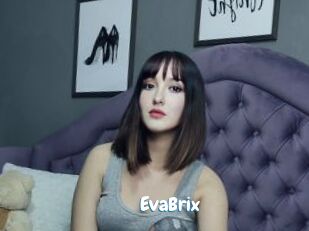 EvaBrix
