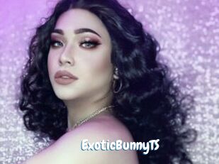 ExoticBunnyTS