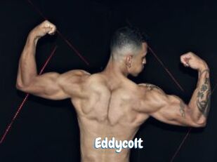 Eddycolt