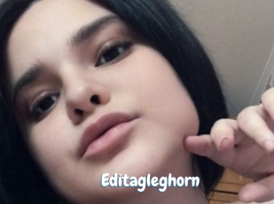 Editagleghorn