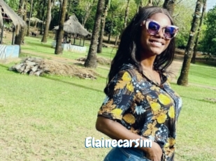 Elainecarsim