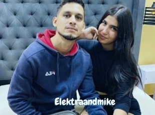 Elektraandmike