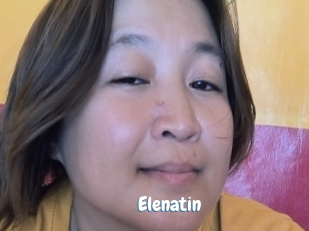 Elenatin