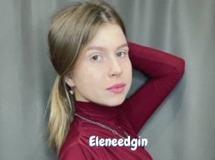 Eleneedgin