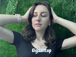 Elgaalltop