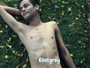 Eliotgrey