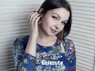 Elisecute