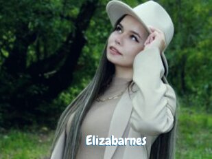 Elizabarnes