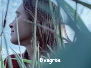 Elvagrise