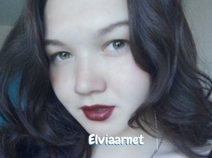 Elviaarnet