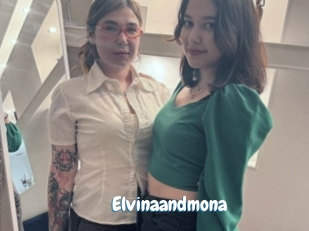 Elvinaandmona