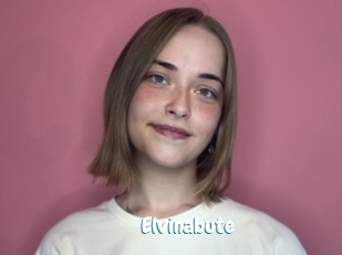 Elvinabute