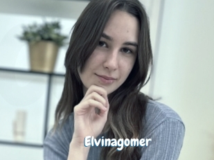 Elvinagomer