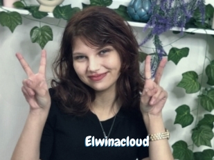 Elwinacloud