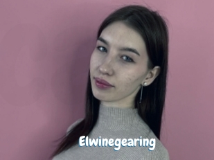 Elwinegearing