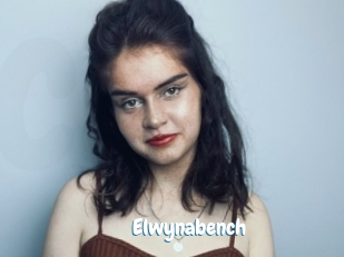 Elwynabench