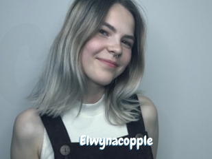 Elwynacopple