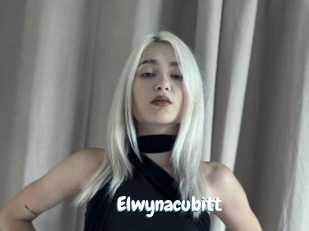Elwynacubitt