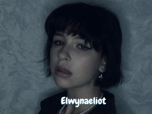 Elwynaeliot