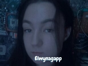 Elwynagapp