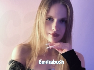 Emiliabush