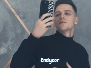Endycor