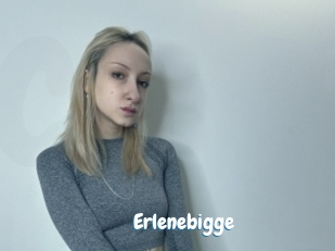 Erlenebigge